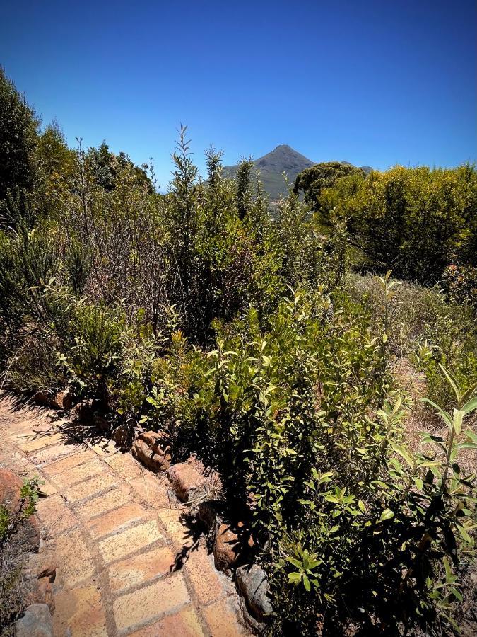 Windrose, Noordhoek, Sensationeller Meerblick Le Cap Extérieur photo