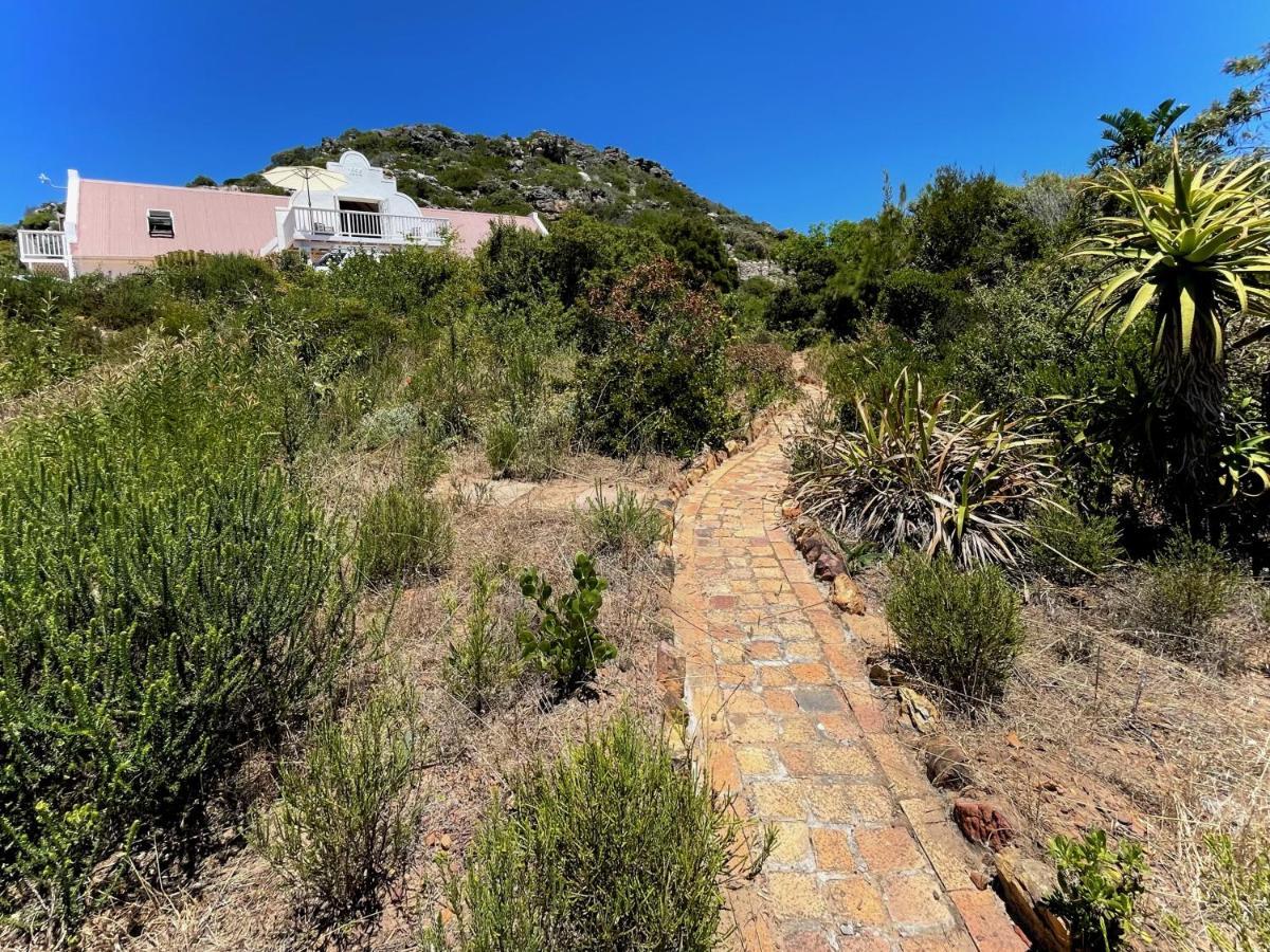 Windrose, Noordhoek, Sensationeller Meerblick Le Cap Extérieur photo